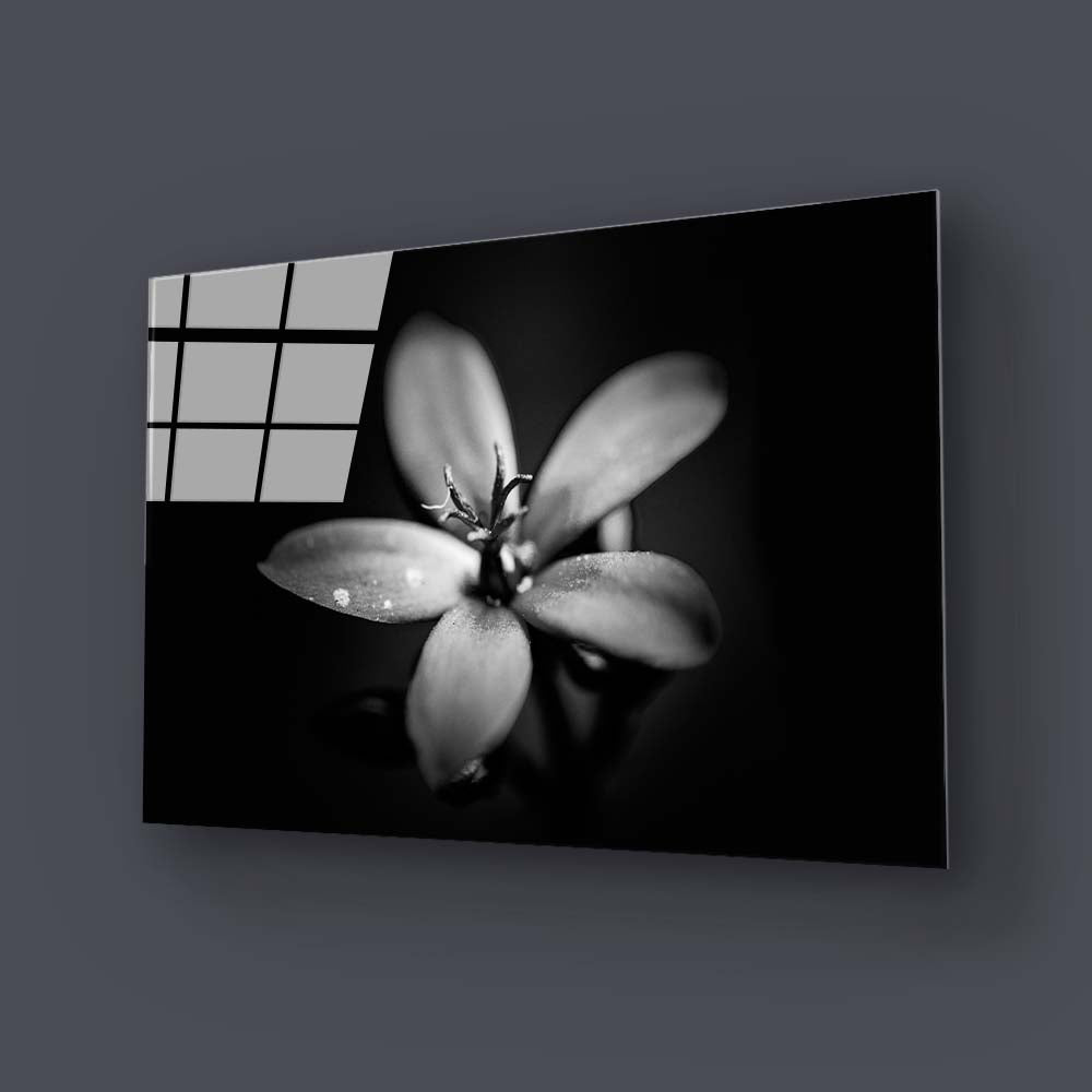 Hawthorn Black & White Glass Wall Art