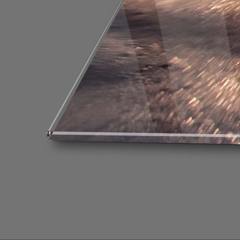 Leaping Dolphin Classic Glass Wall Art