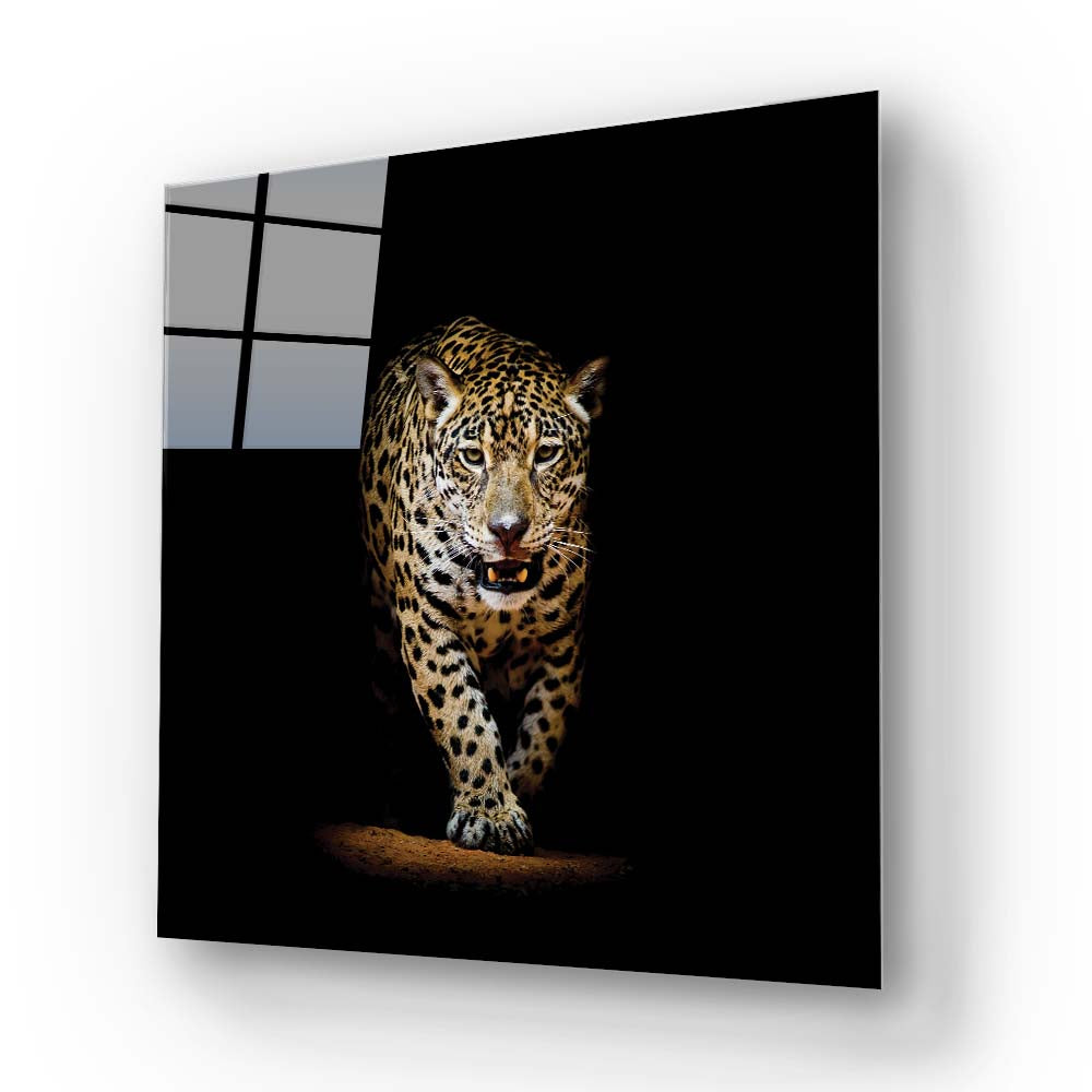 Leopard in Spotlight Glass Wall Art