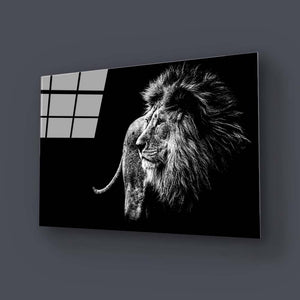 Lion Black and White Photo Glass Wall Art