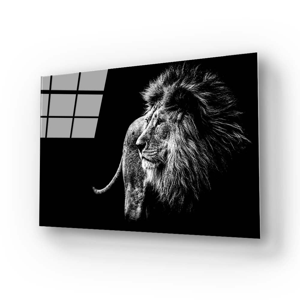 Lion Black and White Photo Glass Wall Art