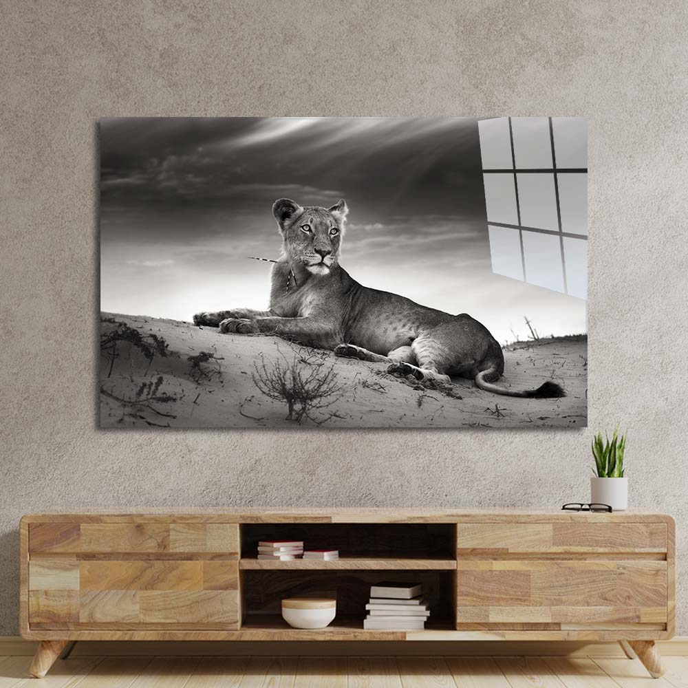 Lioness in the Desert Glass Wall Art
