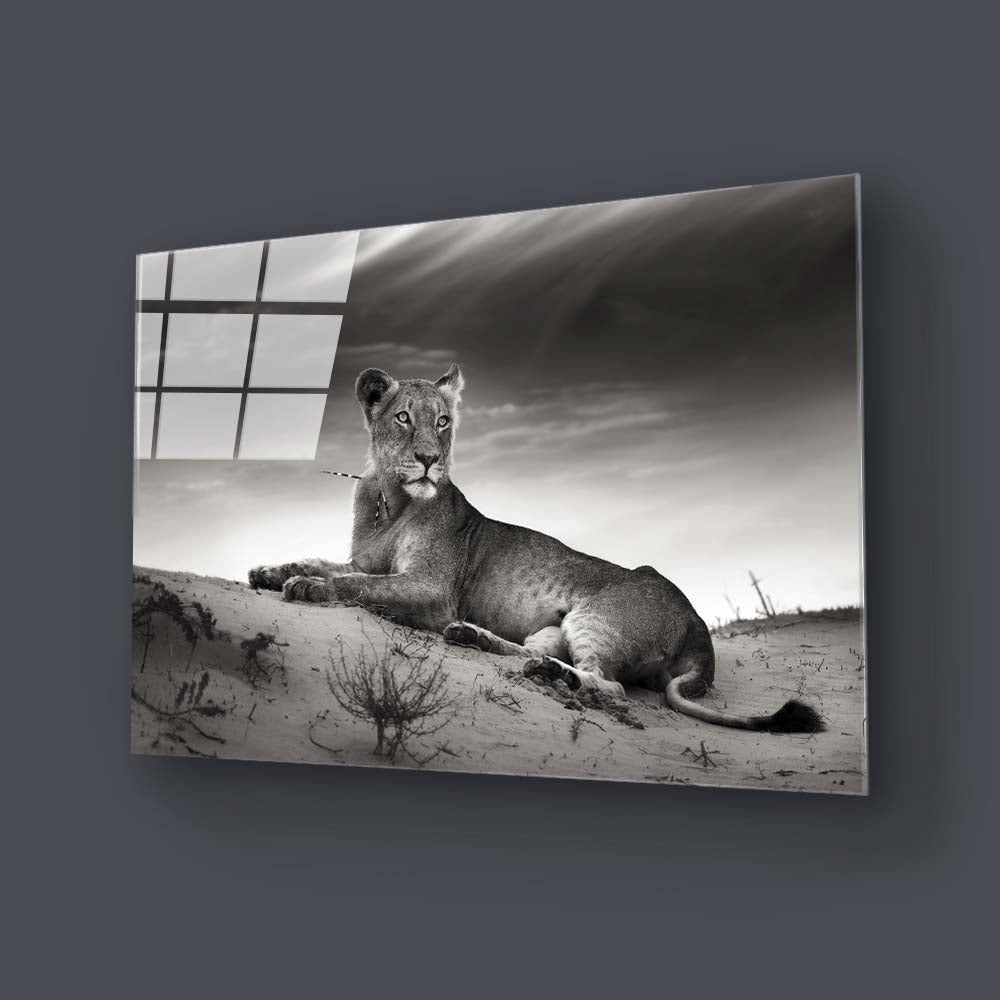 Lioness in the Desert Glass Wall Art