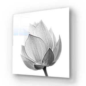 Lotus Black & White 2 Glass Wall Art