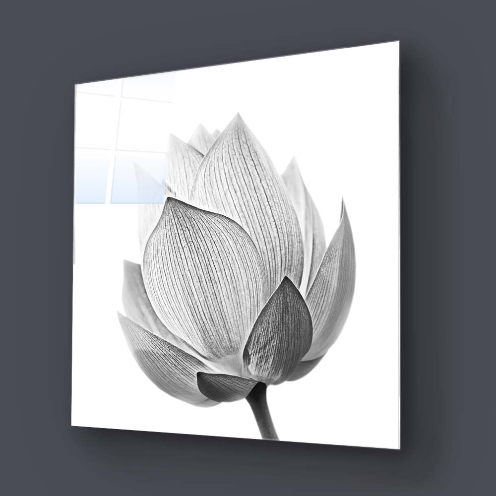 Lotus Black & White 2 Glass Wall Art