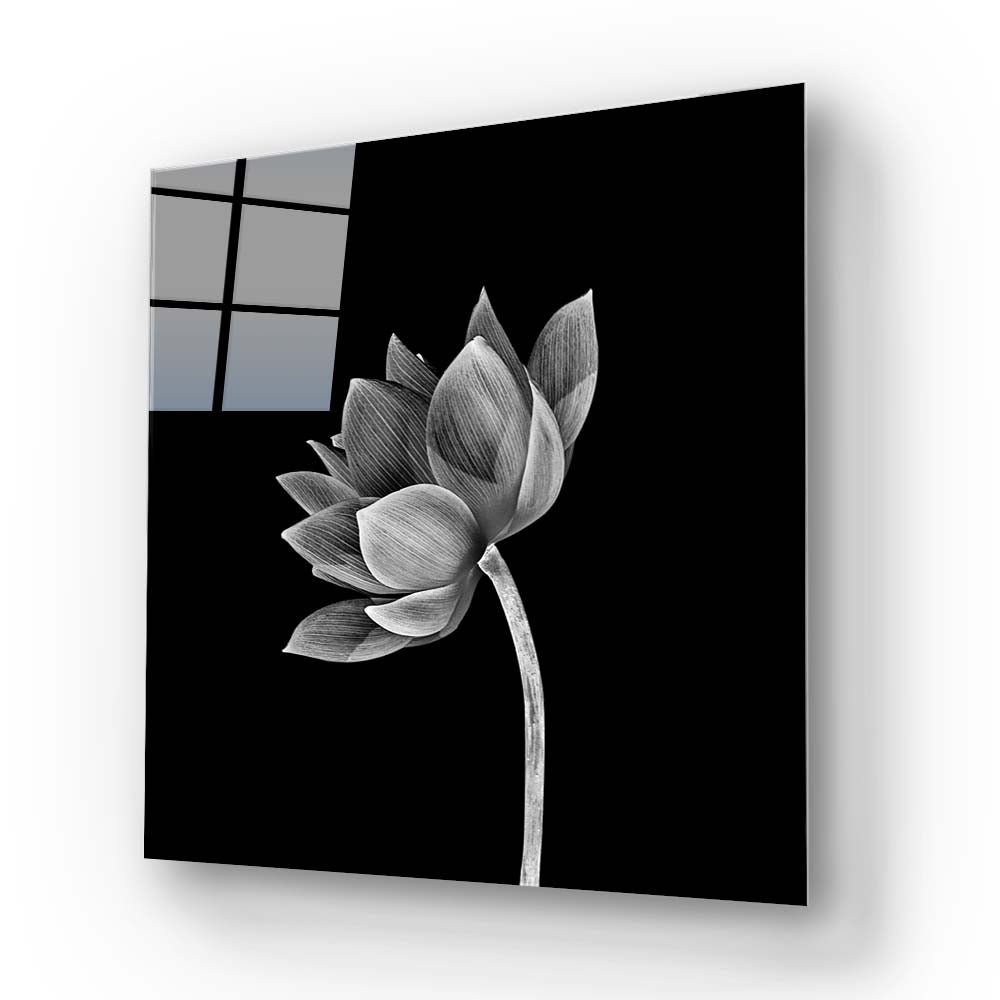 Lotus Black & White Glass Wall Art