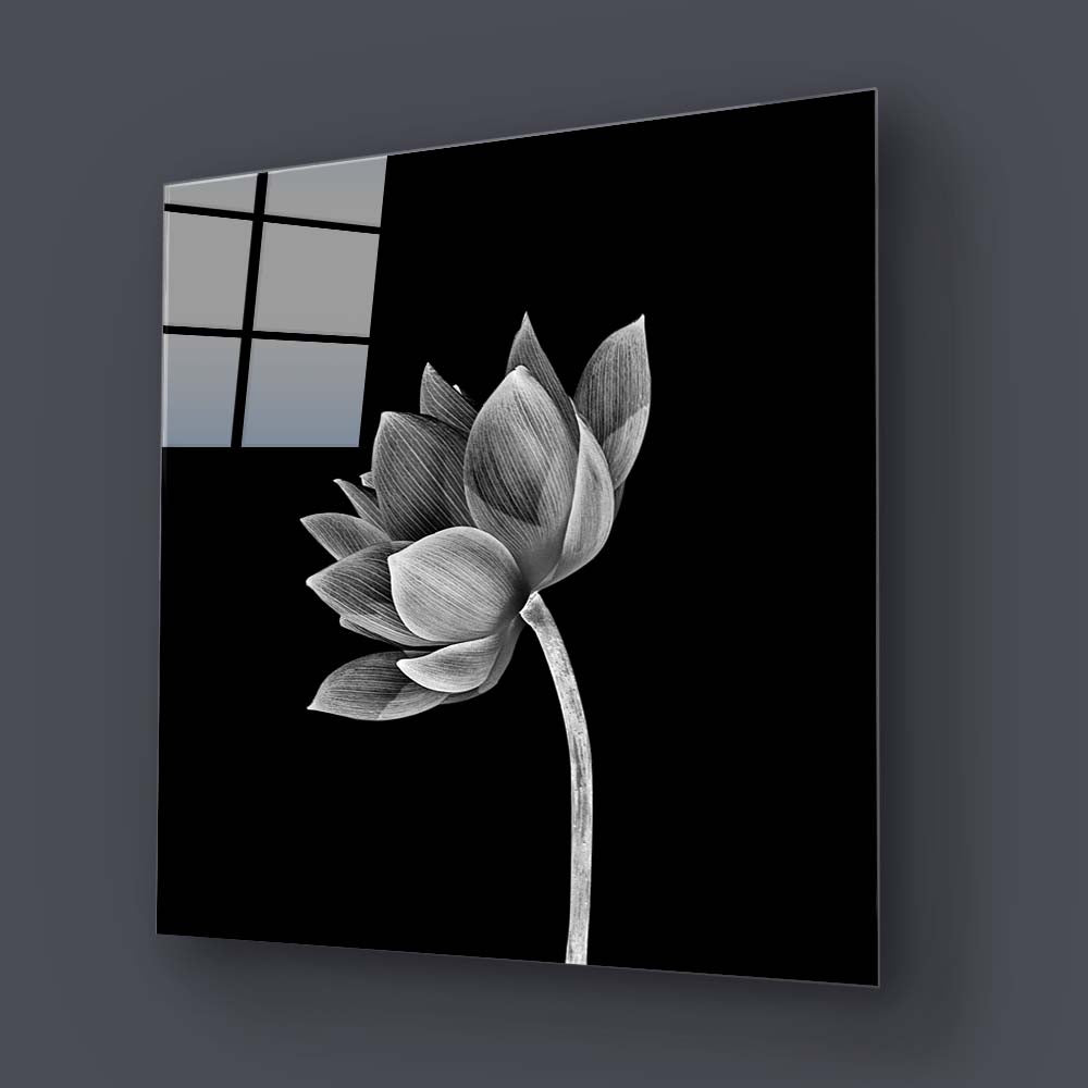 Lotus Black & White Glass Wall Art
