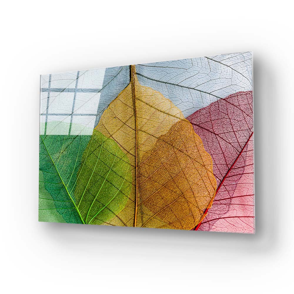 Multi-Coloured Leaves Glass Wall Art