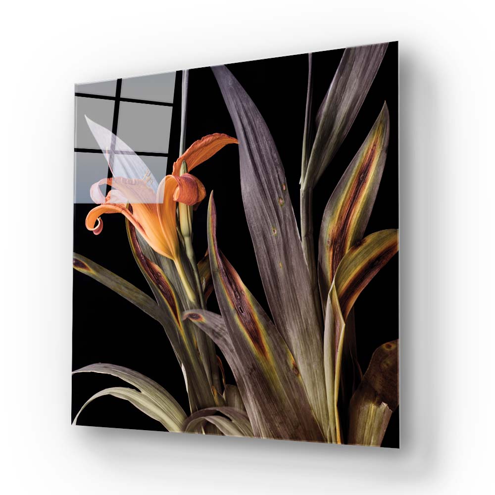 Orange Lily Glass Wall Art