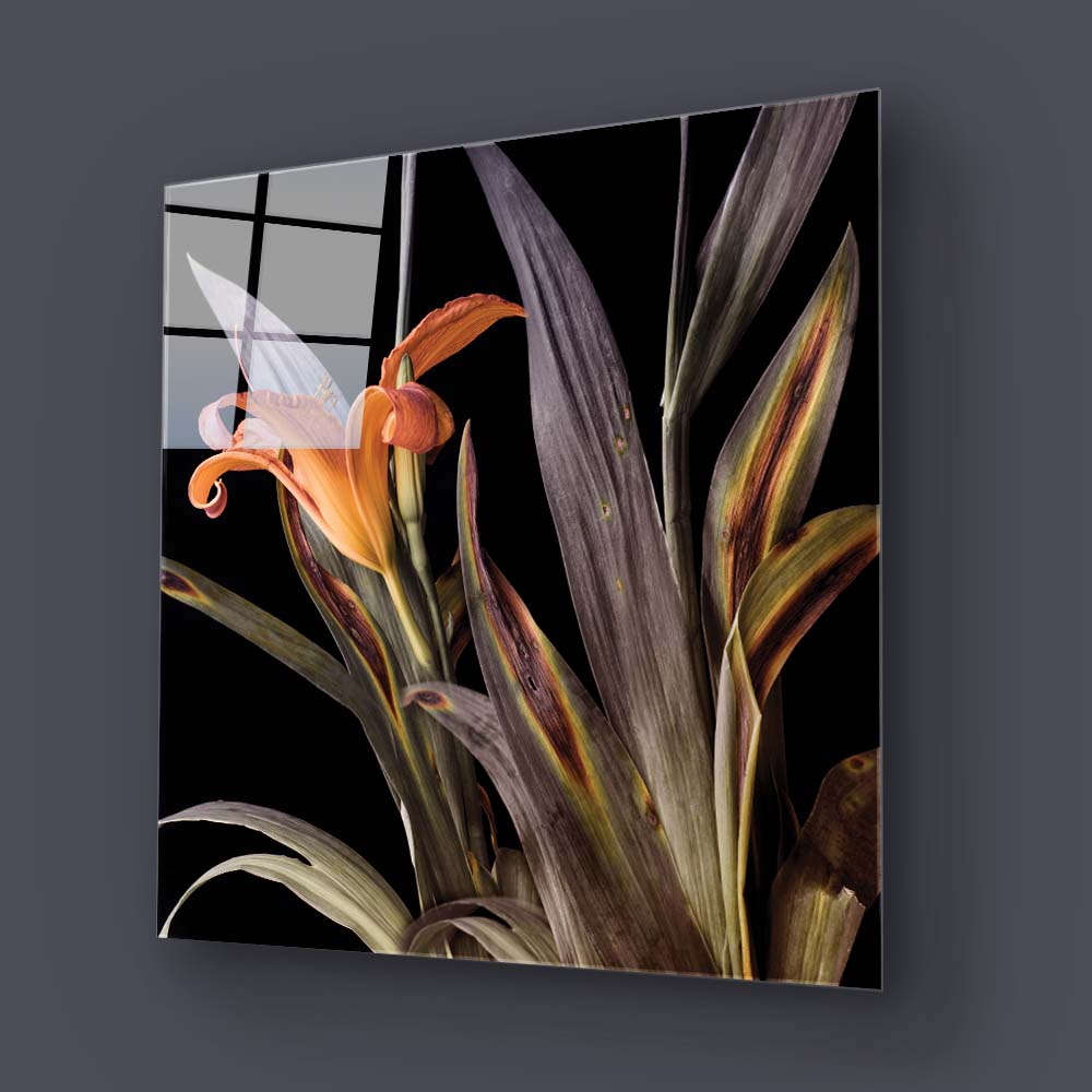Orange Lily Glass Wall Art
