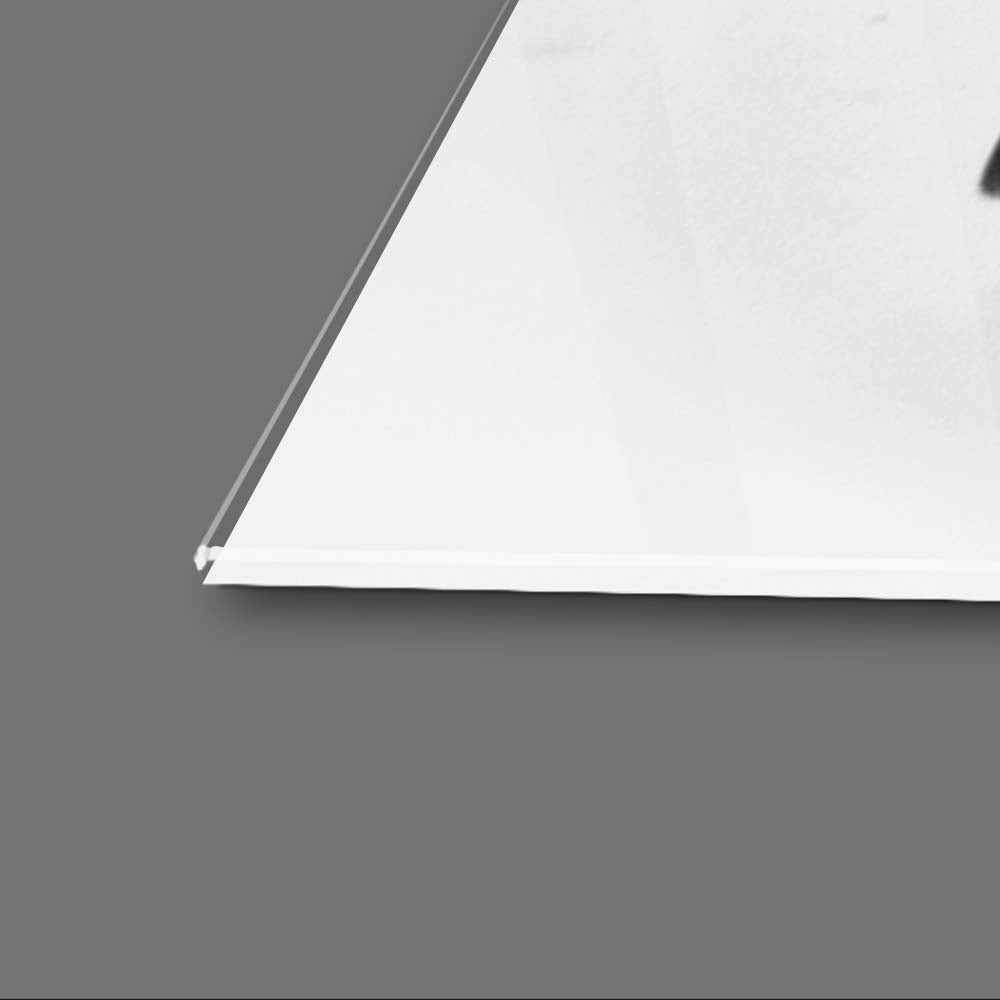 Playful Pug Black and White Glass Wall Art