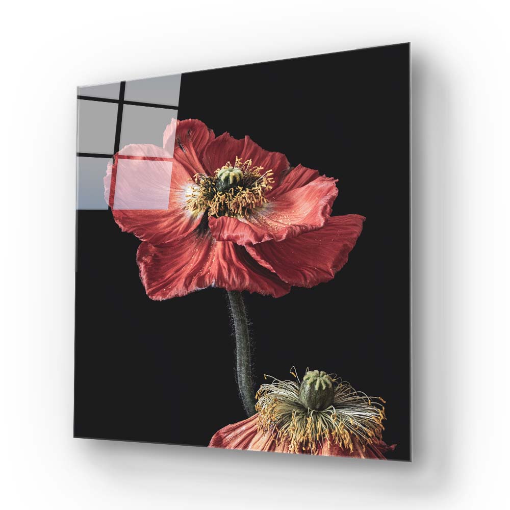 Poppy Glass Wall Art