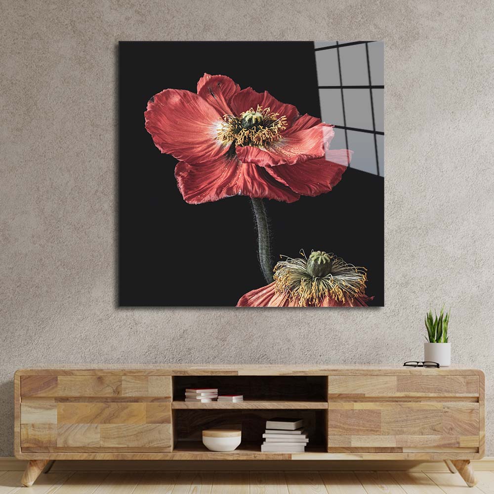 Poppy Glass Wall Art