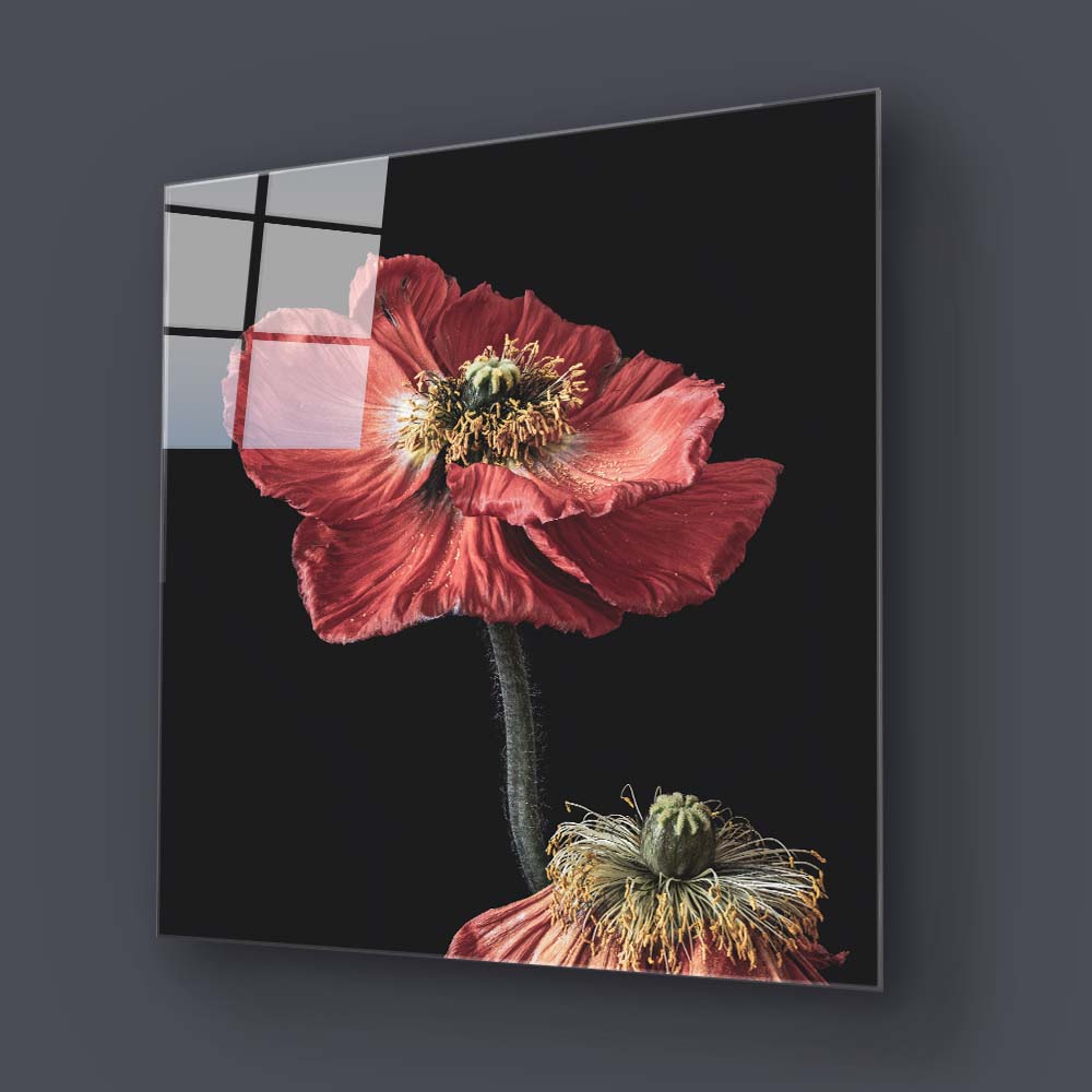 Poppy Glass Wall Art