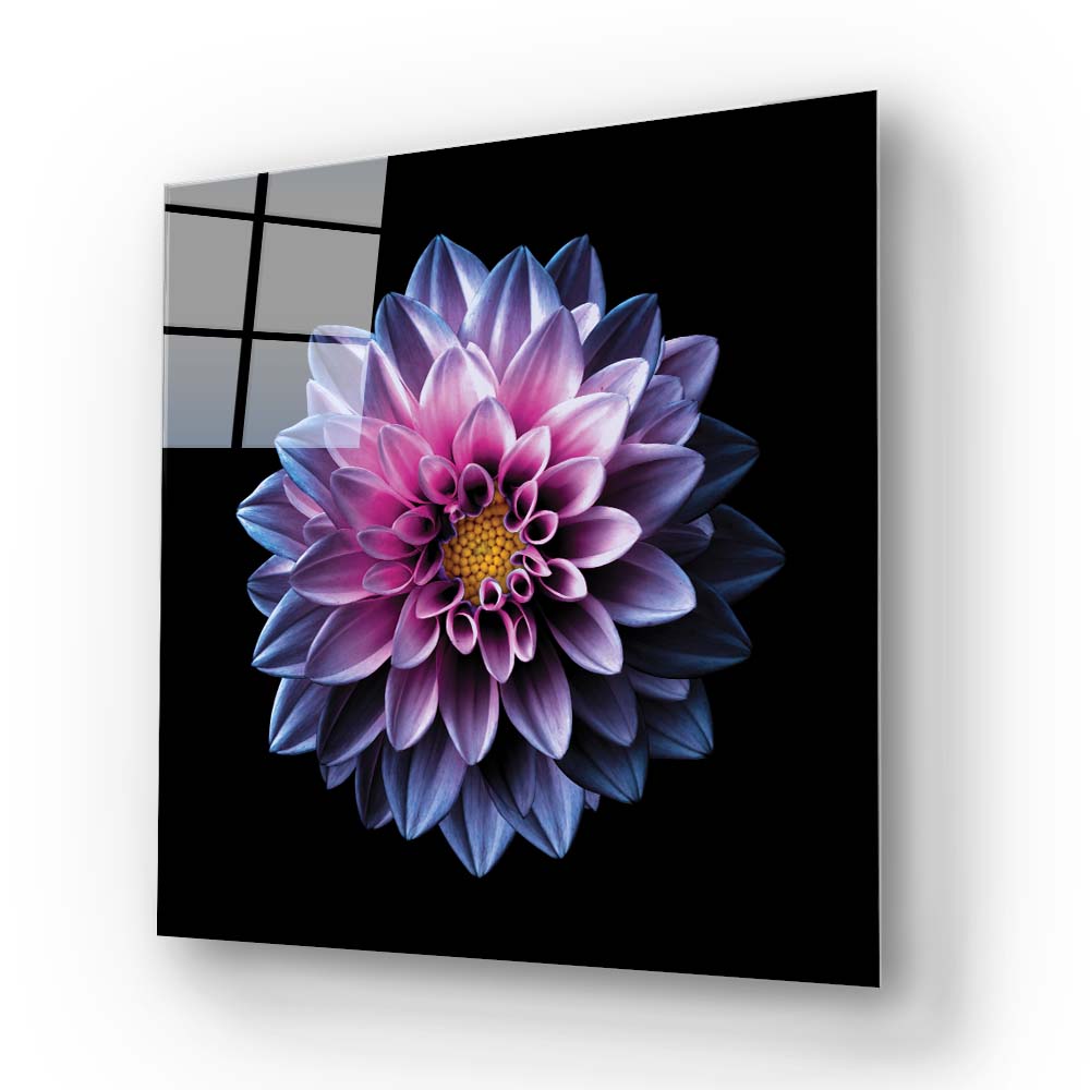 Purple Dahlia Glass Wall Art