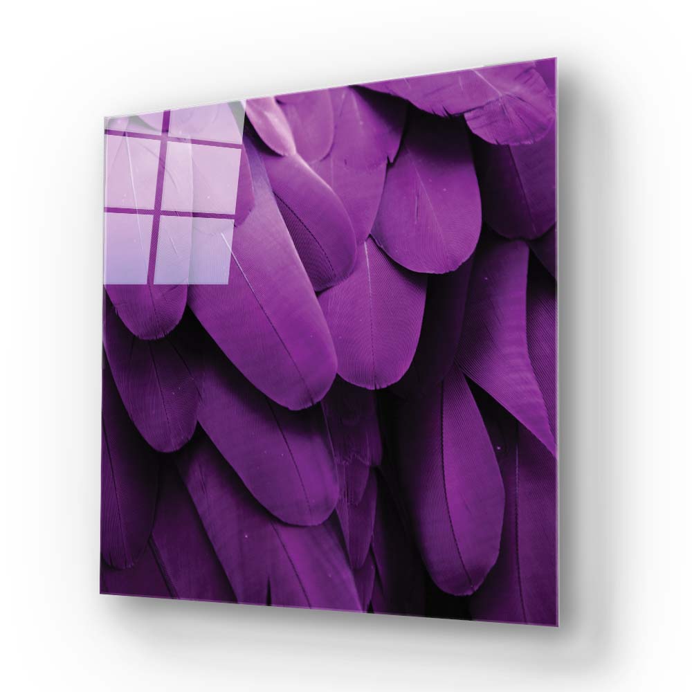 Purple Macaw Feathers Macro Photograph Glass Wall Art