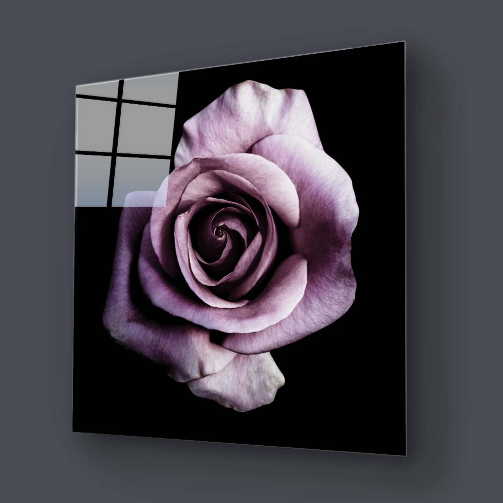 Purple Rose Glass Wall Art