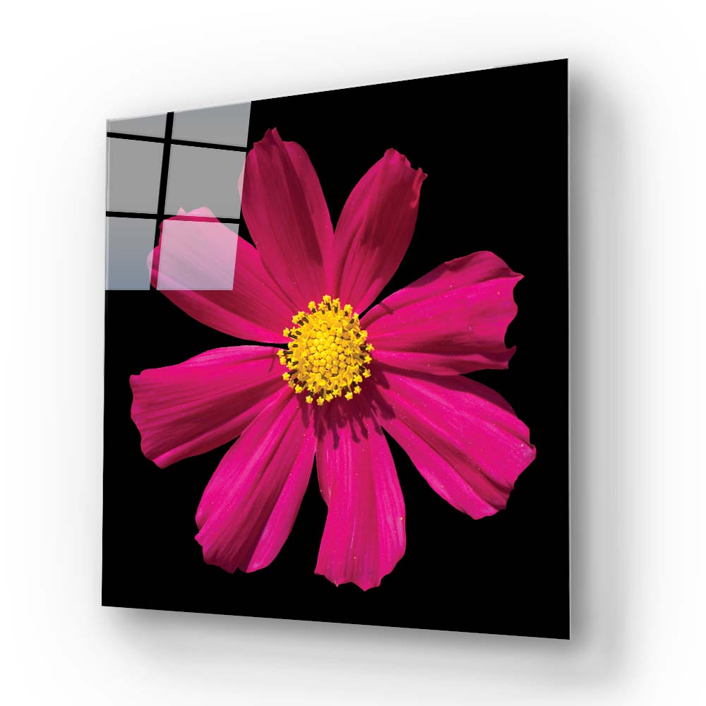 Red Daisy Glass Wall Art