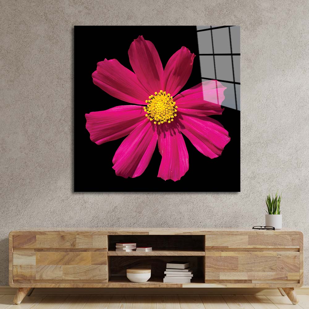 Red Daisy Glass Wall Art