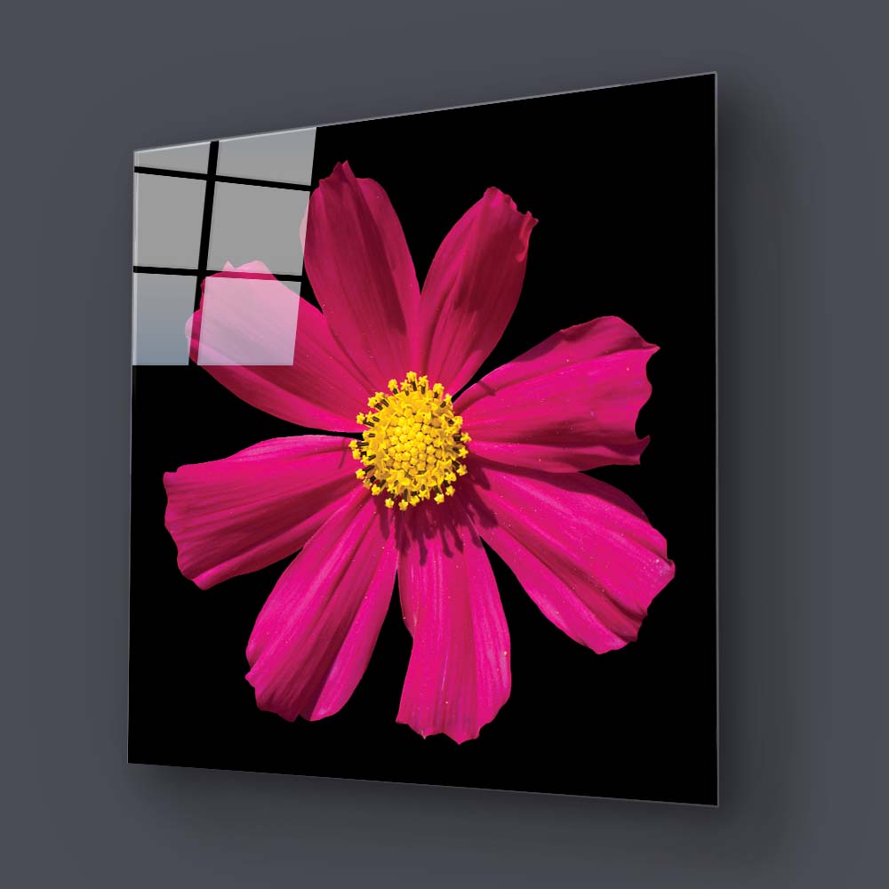 Red Daisy Glass Wall Art