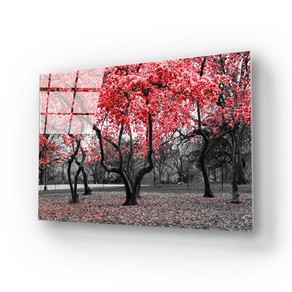 Red Leaves Trees in Park Glass Wall Art