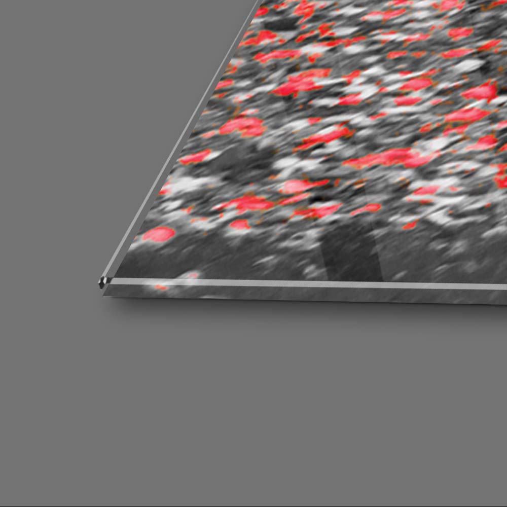 Red Leaves Trees in Park Glass Wall Art