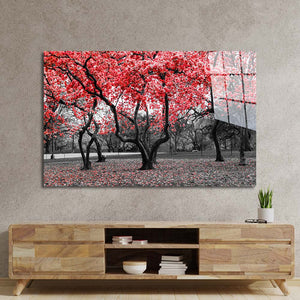 Red Leaves Trees in Park Glass Wall Art