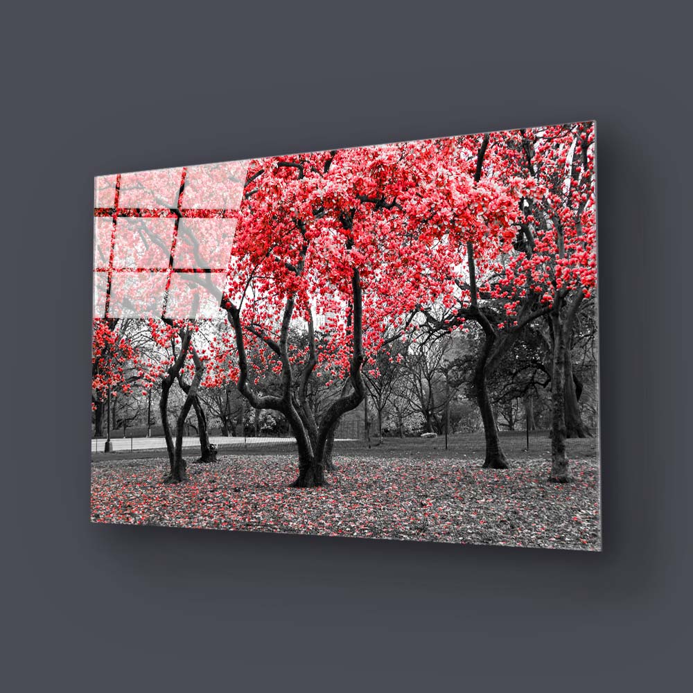Red Leaves Trees in Park Glass Wall Art