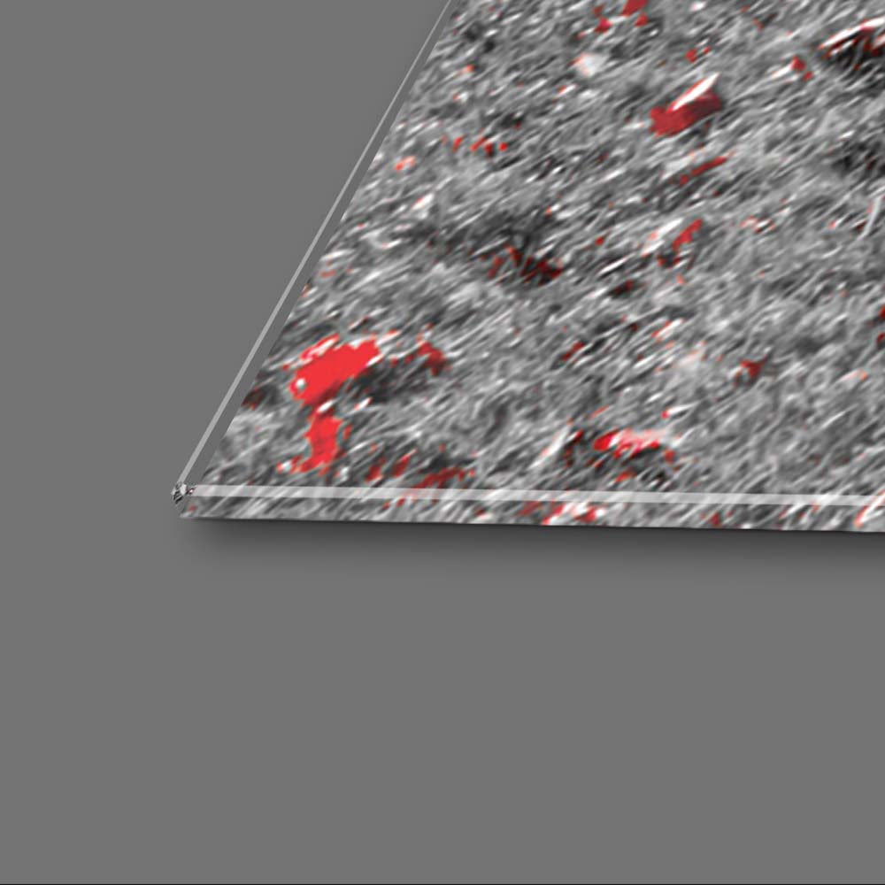 Red Maple Tree Glass Wall Art