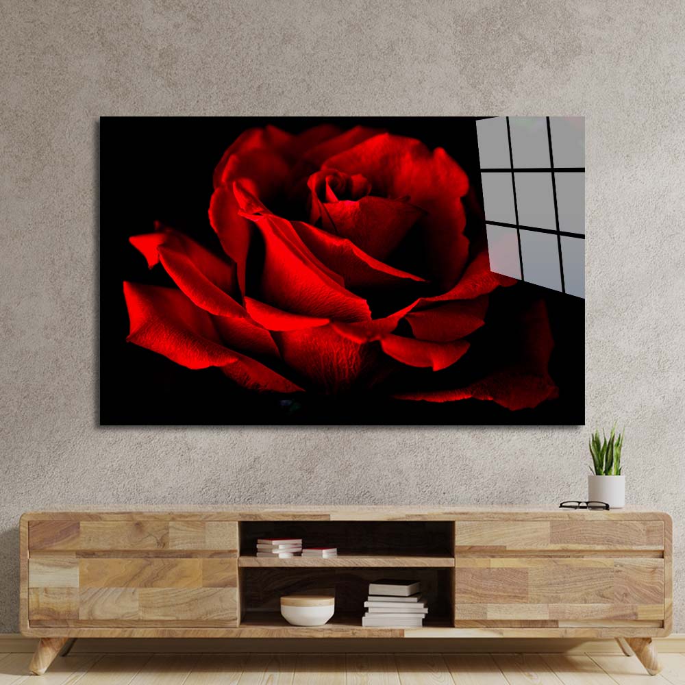 Red Rose with Black Background Glass Wall Art