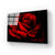 Red Rose with Black Background Glass Wall Art