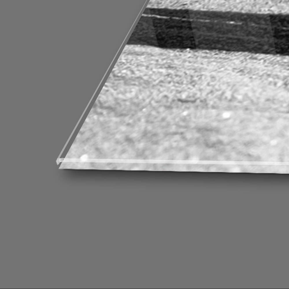 Rhino Black & White Photo Glass Wall Art