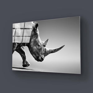 Rhino Black & White Photo Glass Wall Art