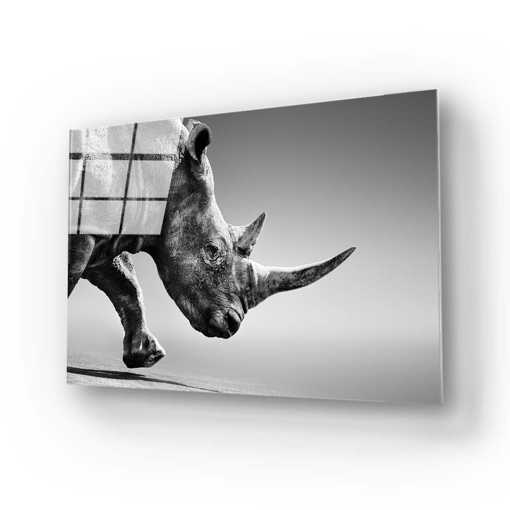 Rhino Black & White Photo Glass Wall Art