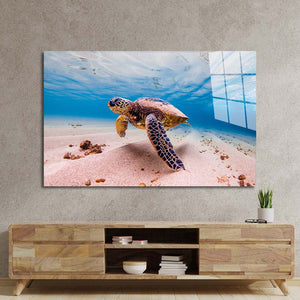 Sea Turtle Glass Wall Art
