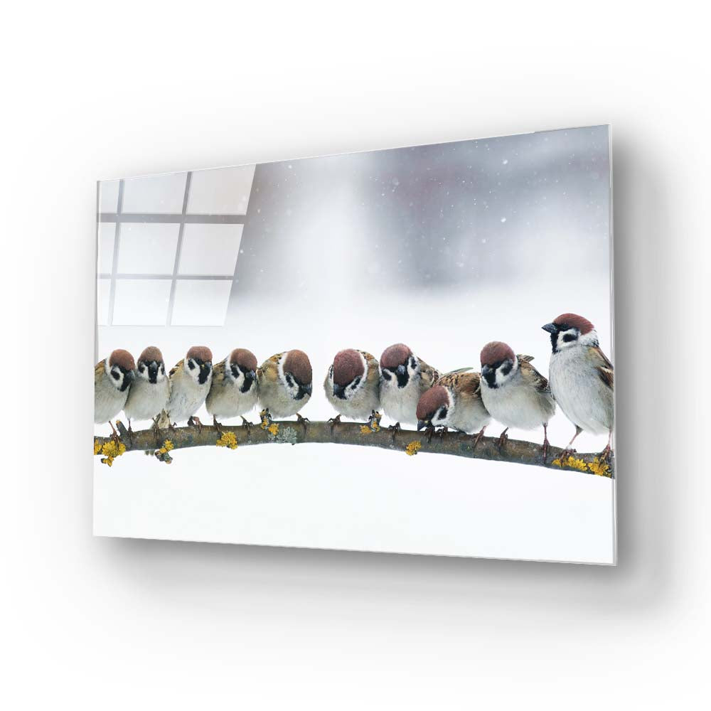 Sparrows Sitting on a Branch Glass Wall Art