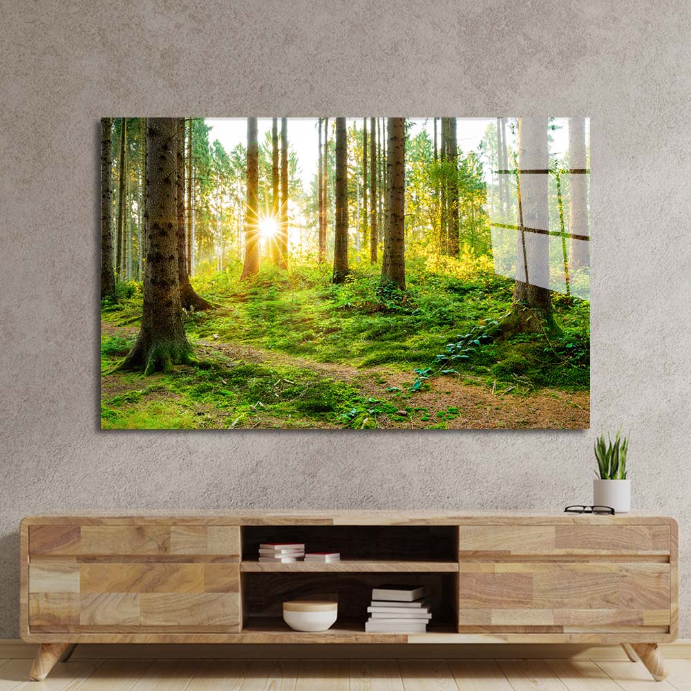 Sunshine in Forest Glass Wall Art