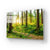 Sunshine in Forest Glass Wall Art