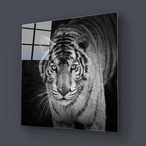 Tiger with Blue Eyes Glass Wall Art