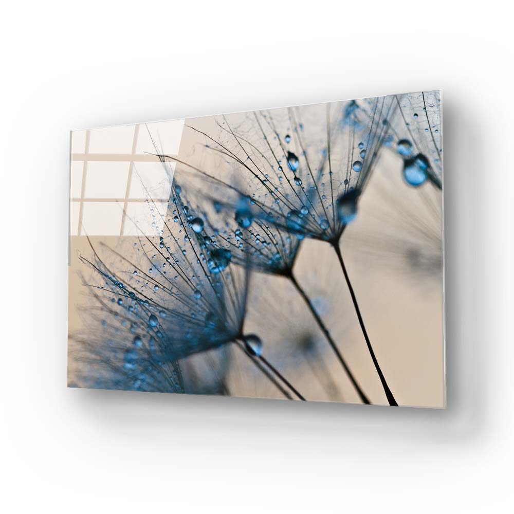Water droplets on a Dandelion Glass Wall Art