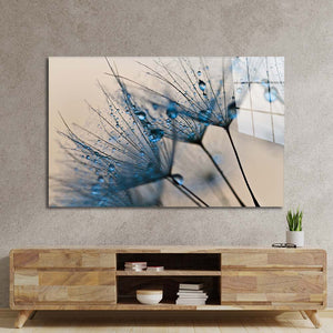 Water droplets on a Dandelion Glass Wall Art