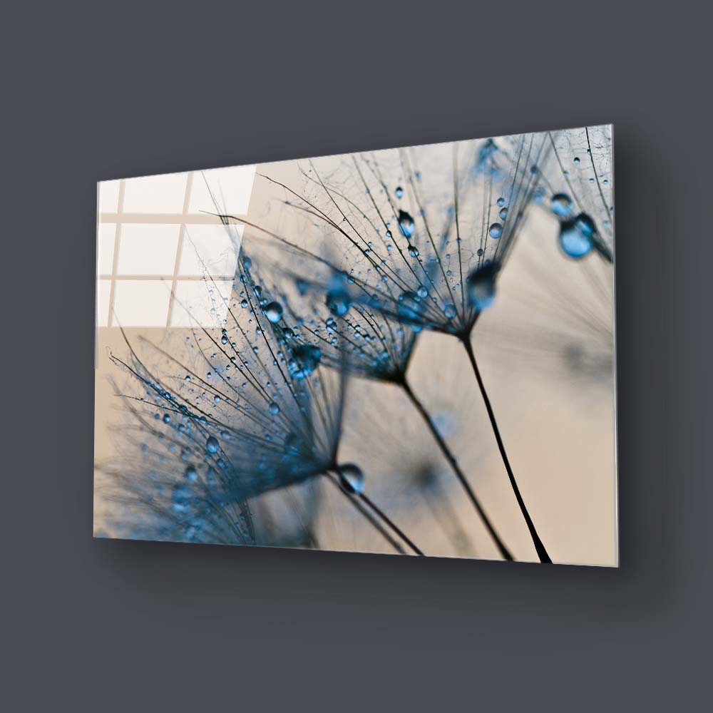 Water droplets on a Dandelion Glass Wall Art