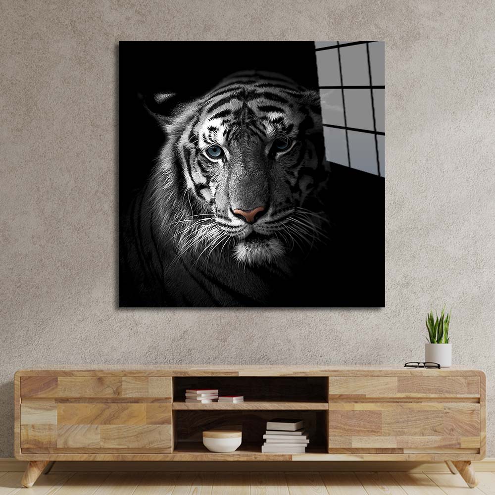 White Tiger in Spotlight Glass Wall Art