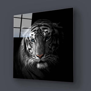White Tiger in Spotlight Glass Wall Art