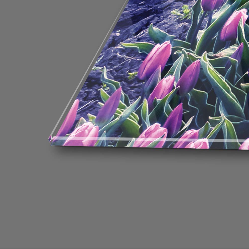 Windmill and Tulips Glass Wall Art