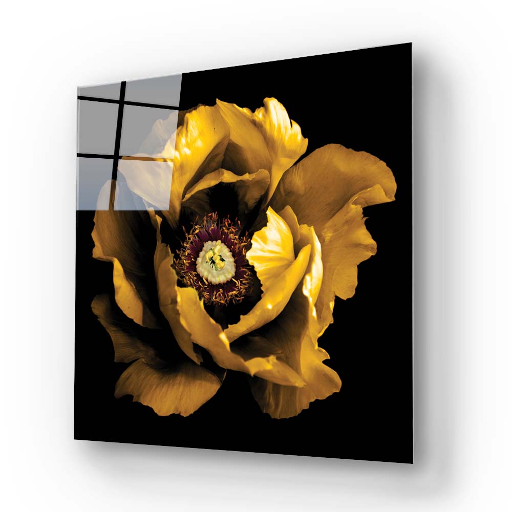 Yellow Peony Glass Wall Art