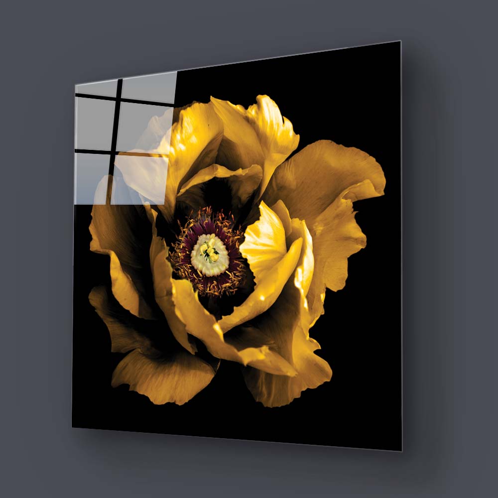 Yellow Peony Glass Wall Art