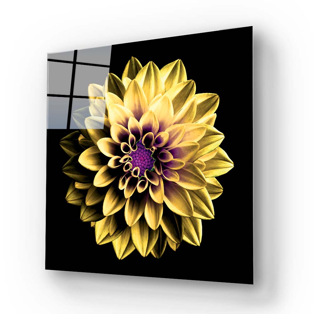 Yellow and Purple Dahlia Glass Wall Art