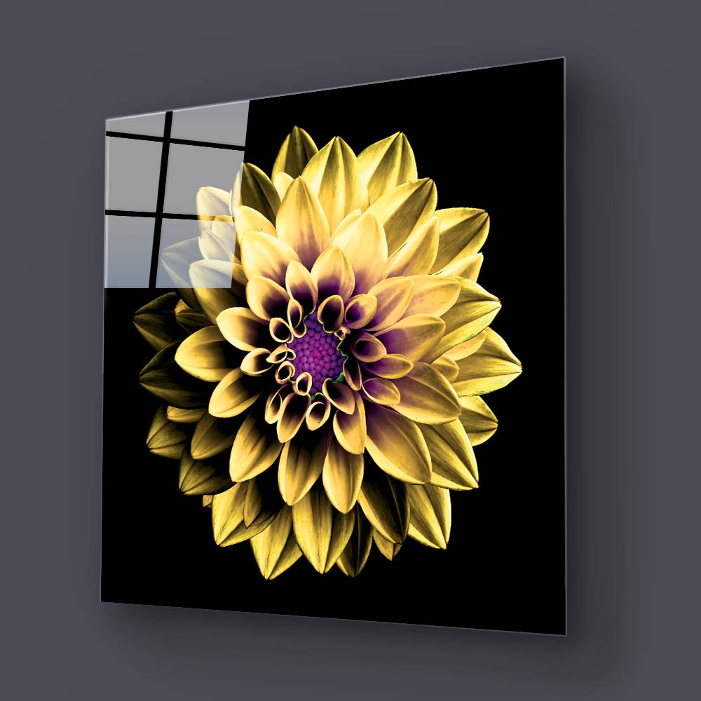 Yellow and Purple Dahlia Glass Wall Art