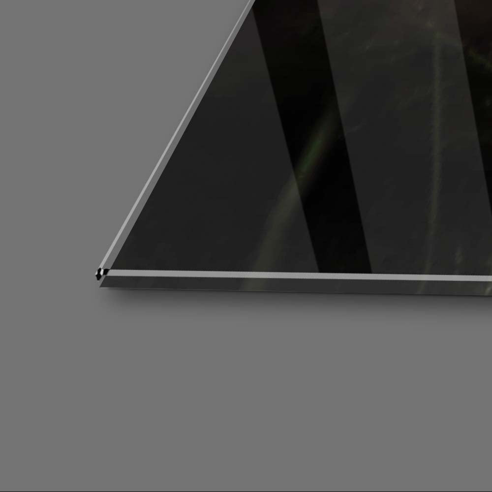 Zebra Family Close Up Black Background Glass Wall Art